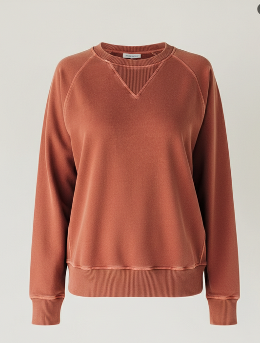 Full Size Crew Neck Raglan Sleeve Sweatshirt Plus Size